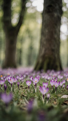 Similar image 22494008