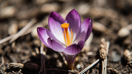 Similar image 22494052