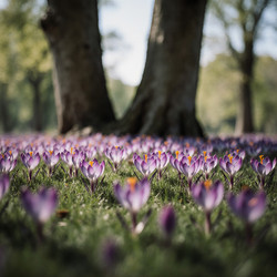 Similar image 22494053