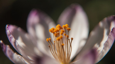 Similar image 22494066