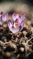 Similar image 22494081