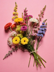 Similar image 22493891