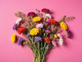 Similar image 22493909