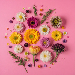 Similar image 22494013