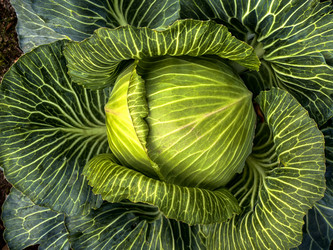 Similar image 22489982