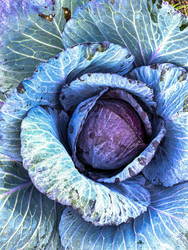 Similar image 22489995