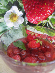 Similar image 22489071