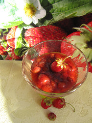 Similar image 22489072