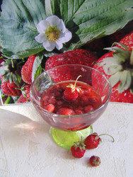 Similar image 22489074