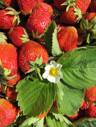 Similar image 22489081