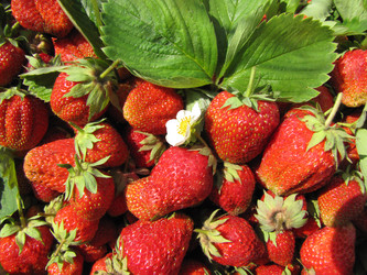 Similar image 22489082