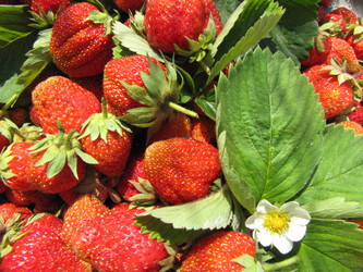 Similar image 22489088