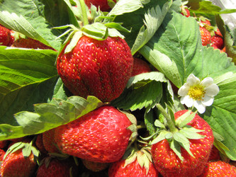 Similar image 22489089