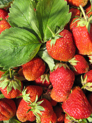 Similar image 22489090