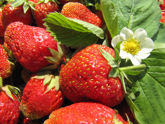 Similar image 22489091