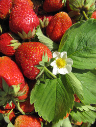 Similar image 22489092