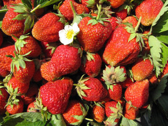 Similar image 22489093