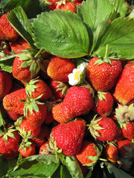 Similar image 22489094