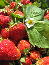 Similar image 22489096