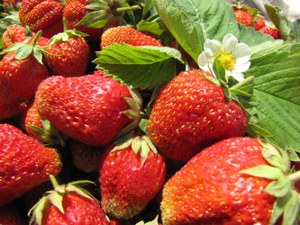 Similar image 22489097