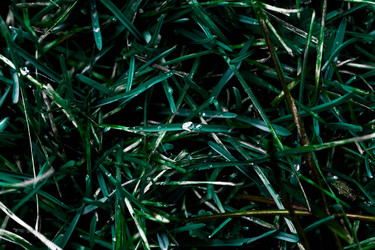 Similar image 22494105