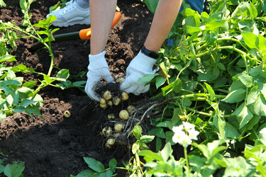 Similar image 22501970