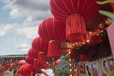 Similar image 22501979