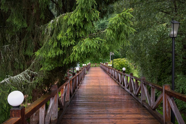 Similar image 22501013