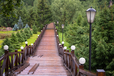 Similar image 22501024