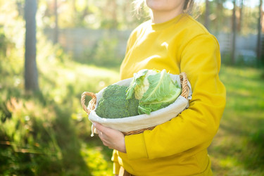 Similar image 22490121