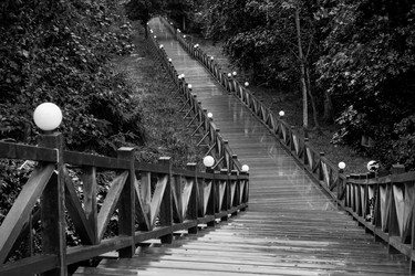 Similar image 22501487