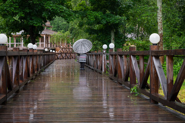 Similar image 22501529