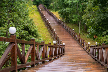 Similar image 22501530