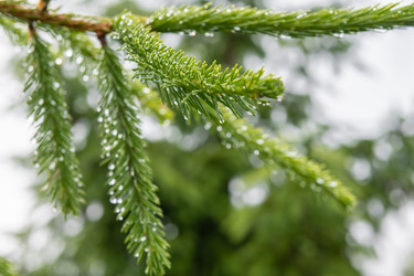 Similar image 22501535