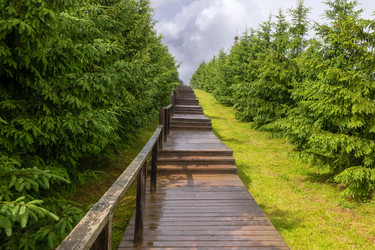 Similar image 22501547