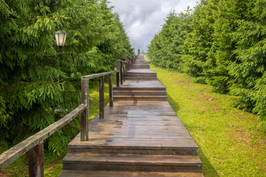 Similar image 22501550