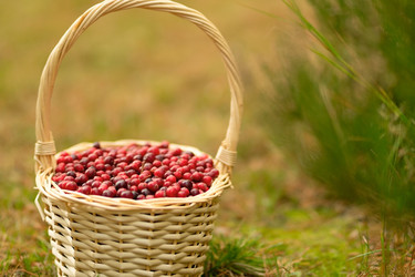 Similar image 22578493