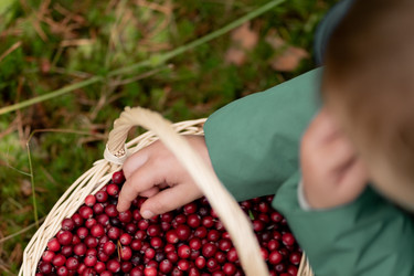 Similar image 22578494