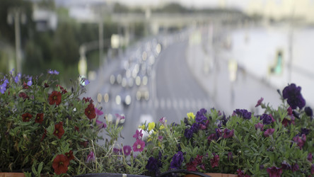 Similar image 22502452