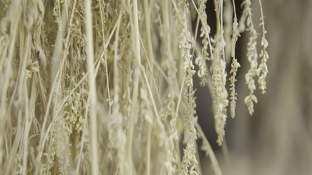 Similar image 22502557