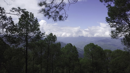 Similar image 22502841