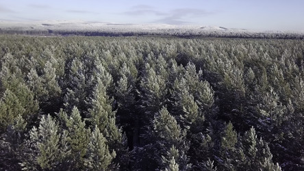 Similar image 22502916