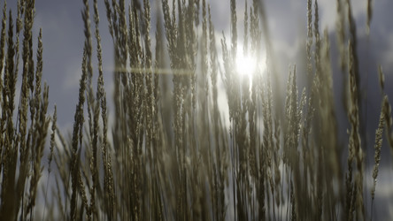 Similar image 22502932