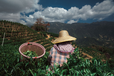 Similar image 22503006