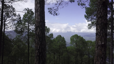 Similar image 22504004