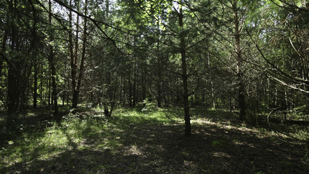 Similar image 22504019