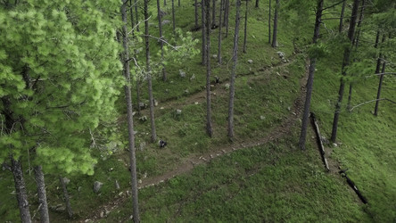 Similar image 22504049