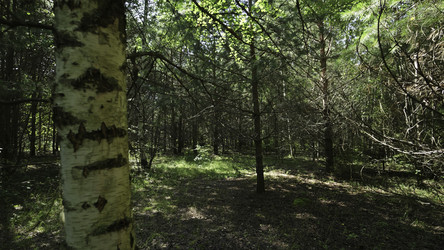 Similar image 22504093