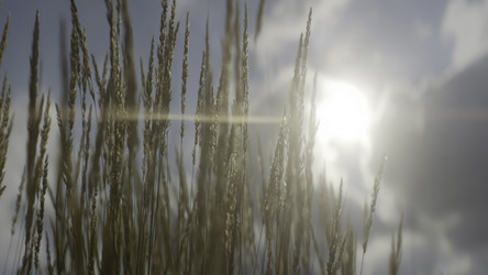 Similar image 22504333