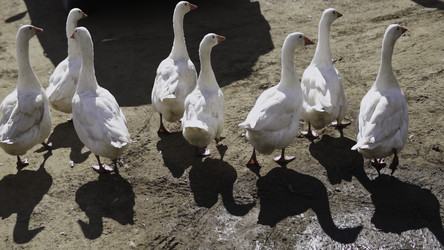 Similar image 22504408